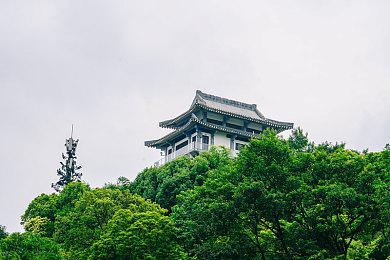 《方舟：生存进化》次世代版让玩家等得很焦急